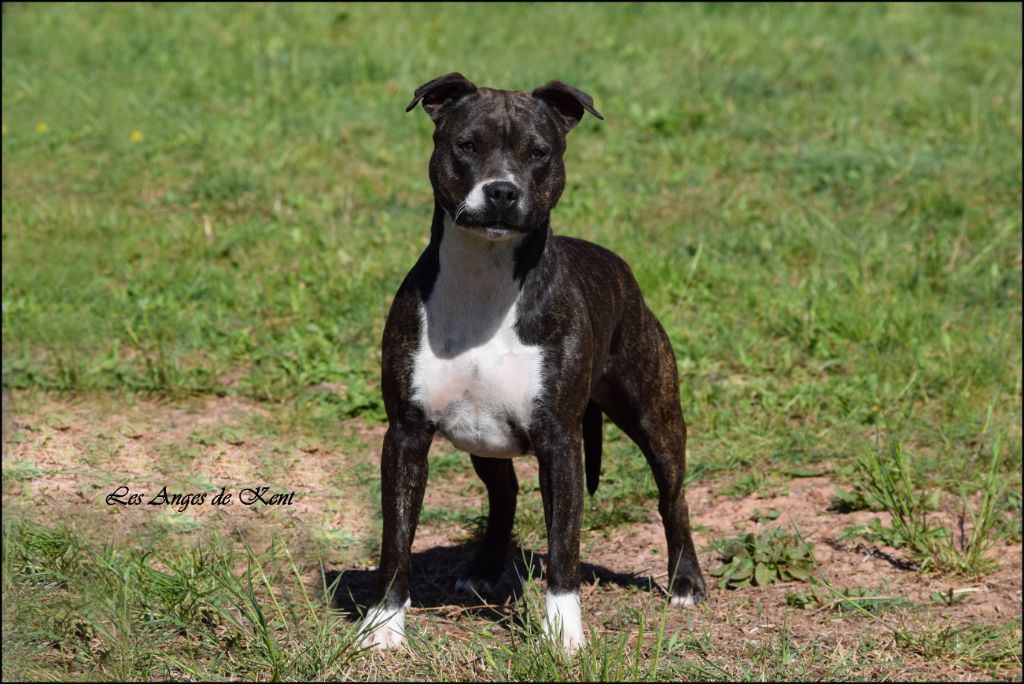 Nocturne De L'empreinte De L'espoir